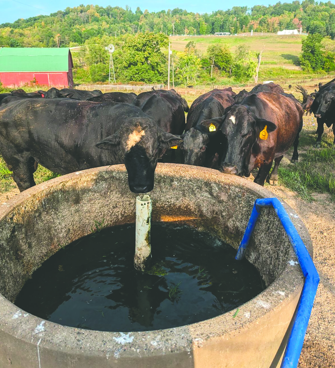 Farmers feel effects of drought - The Carroll County Messenger